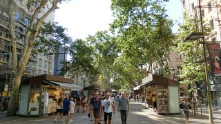 散策にはうってつけ