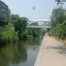 川沿いの歩道の様子