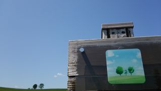 青空とのコントラスト綺麗