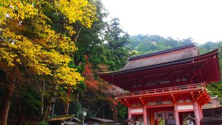 魔除けの象徴、"猿"を色々な場所で見ることが出来る、日吉大社