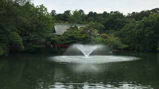 池の周りで休憩