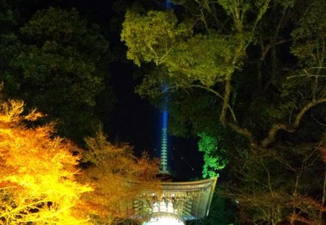 昼とは違う、石山寺のもみじライトアップ☆