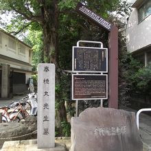 言問通り沿いの玉林寺の標識など