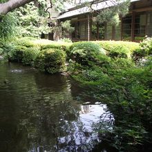 小ぢんまりした庭