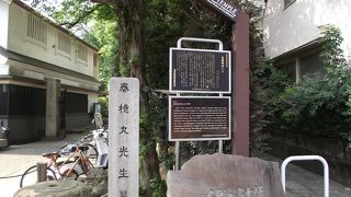 都指定天然記念物や横綱千代の富士像などがある古寺です