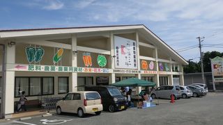 街道沿いのJA農産品売り場