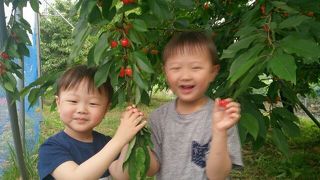 我妻観光果樹園