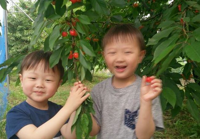 我妻観光果樹園