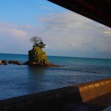 雨晴海岸の近くで一時停止してくれます