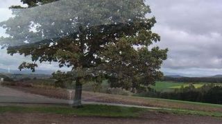 曇り空なのが残念