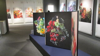 日本を代表する写真家荒木経惟写真展を開催してます