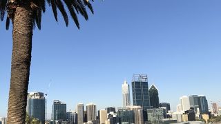 パースのガイドブックで見かける、芝生と高層ビルという構図はココ