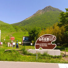 新緑の由布岳登山