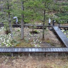 もう少し広いといいかも