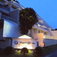 サウスウィング