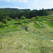 日本で唯一雨水の棚田