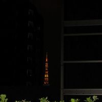 3Fエントランスを出ると、ビルの隙間から東京タワーが！