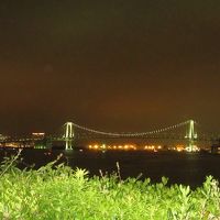 そしてまたしばらく歩くとお台場方面が眺められます。