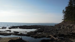 磯遊びも出来そう