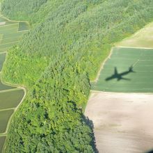 着陸寸前の緑地に映っていた機体の影