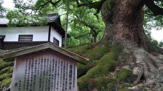 存在感たっぷりです