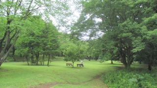 家の近くに自然公園。羨ましい！