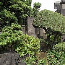 墓所前の植込み