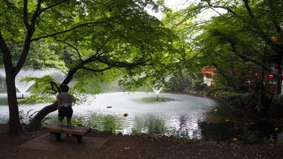 水の景色は癒される