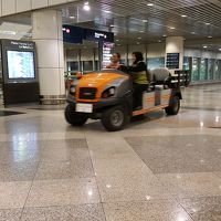 バギーサービス