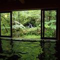 黒川温泉　「山みず木」山あいの宿　