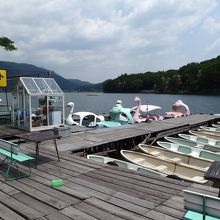 スワンボートがいっぱい