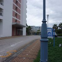 これが駐車場へのアプローチ。余り目立ちません。