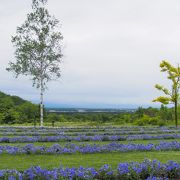 十勝ヒルズ