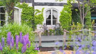 北海道、人気の庭園　風のガーデン