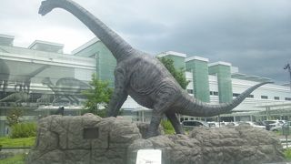 頭がおかしい（褒めています）