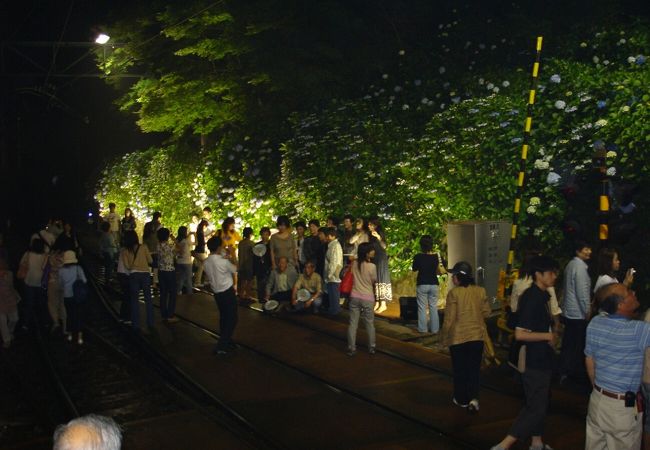 箱根登山鉄道 夜のあじさい号 クチコミ アクセス 営業時間 箱根湯本温泉 フォートラベル