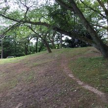 ドラえもんの裏山 By Kamomei 高岡古城公園のクチコミ フォートラベル