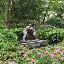 ドラえもんの裏山 By Kamomei 高岡古城公園のクチコミ フォートラベル