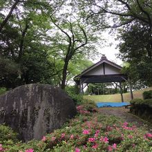 ドラえもんの裏山 By Kamomei 高岡公園相撲場のクチコミ フォートラベル