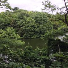 ドラえもんの裏山 By Kamomei 高岡古城公園のクチコミ フォートラベル