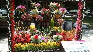 花フェスタ17 By 天然ハスカップ 花フェスタ札幌のクチコミ フォートラベル 花フェスタ17 By 天然ハスカップ 花フェスタ札幌のクチコミ フォートラベル