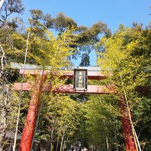 鳥居の前にも写真台がありました。