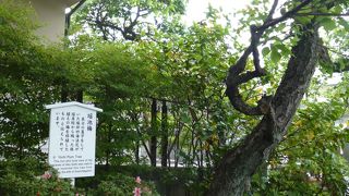 忠臣蔵の話に詳しい方には、