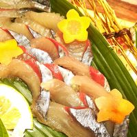 見た目も美しい、食べても美味しい活造りの「唐津Qサバ」