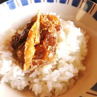 漬けの白身魚をまずは海鮮丼で。その後、お茶漬けで。
