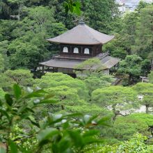 上から見るほうがいい。