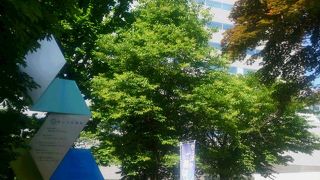 広い展望ホールがあります