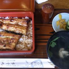 天然ウナギ　小