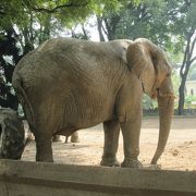 パレルモ公園にある動物園