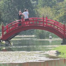 池に朱塗りの橋があります